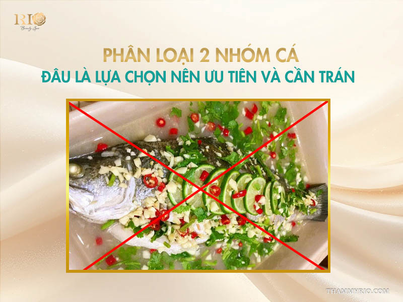 Phân loại 2 nhóm cá: đâu là lựa chọn nên ưu tiên và cần tránh