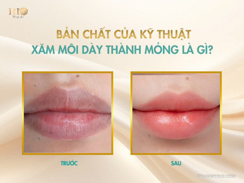 Bản chất của kỹ thuật xăm môi dày thành mỏng là gì?