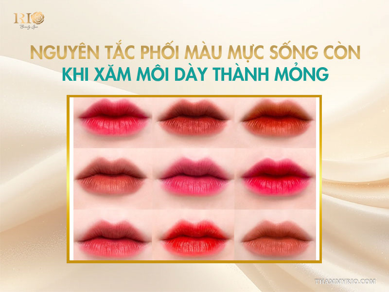 Nguyên tắc phối màu mực sống còn khi xăm môi dày thành mỏng