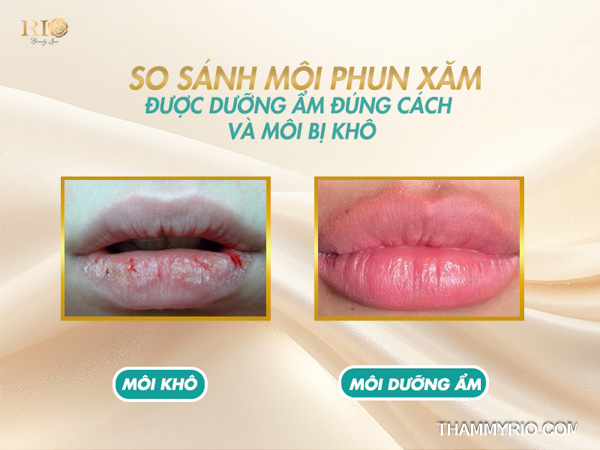 So sánh môi phun xăm được dưỡng ẩm đúng cách và môi khô sau khi xăm