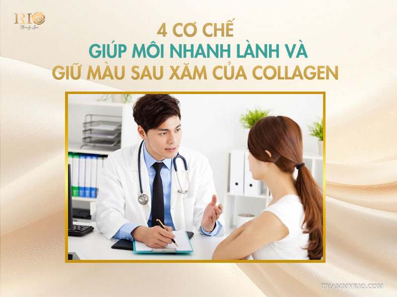 Xăm môi uống collagen được không? Những lưu ý cần biết 3 4 cơ chế giúp môi nhanh lành và giữ màu sau xăm của collagen