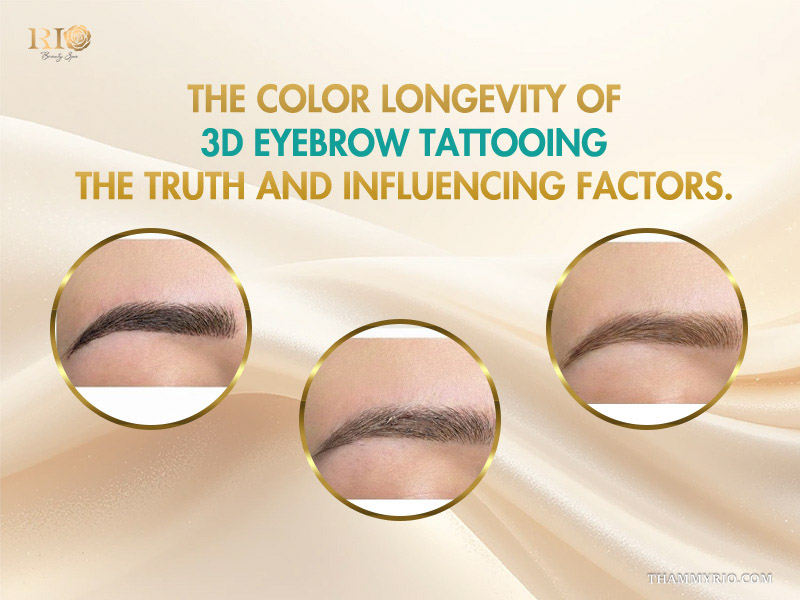 Three stages of 3d microblading color longevity and fading over time on eyebrows.