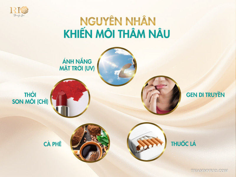 Cách khắc phục môi thâm nâu hiệu quả nhất 2026 4 5 nguyên nhân chính khiến môi thâm nâu