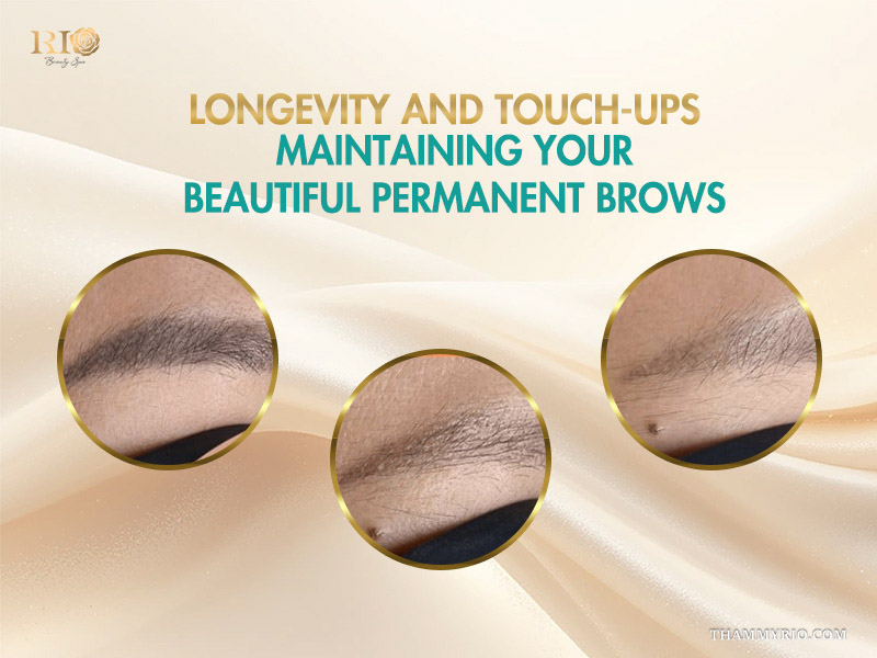 Close-up shots of permanent brow healing stages and maintenance results for longevity.