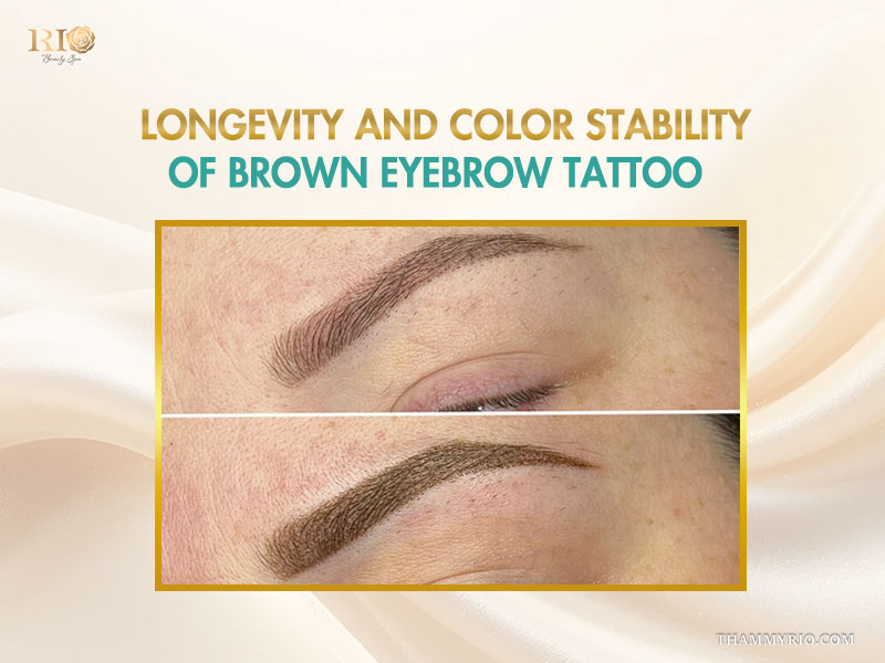 Before and after comparison of brown eyebrow tattoo showing longevity and color stability.