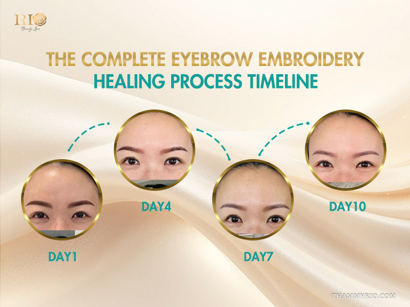 The complete eyebrow embroidery healing process timeline from day 1 to day 10 showing natural color fading.