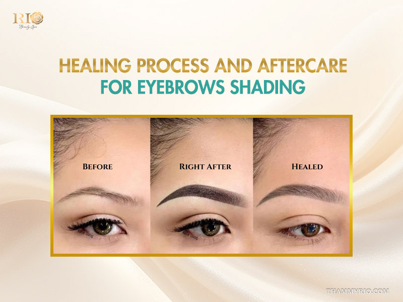 Three-stage comparison of eyebrows shading showing before, right after, and fully healed results.