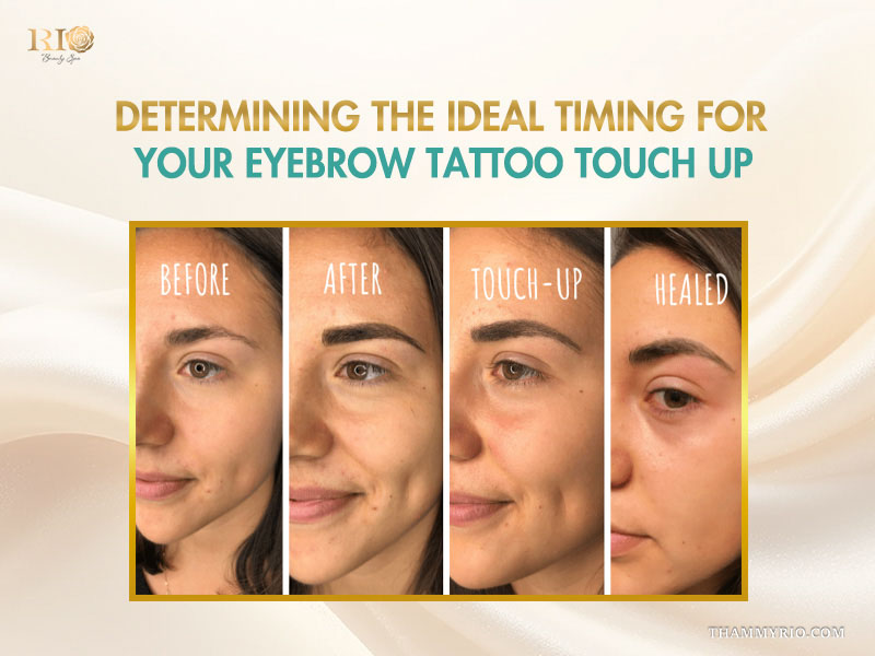Four stages of eyebrow tattoo results including before, after, touch up, and healed brows.