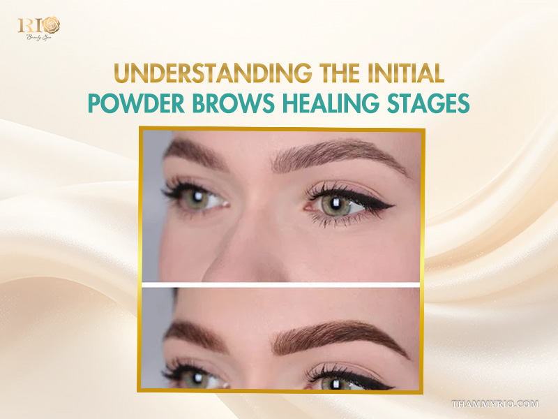 Side-by-side comparison of early and final healed powder brows stages.