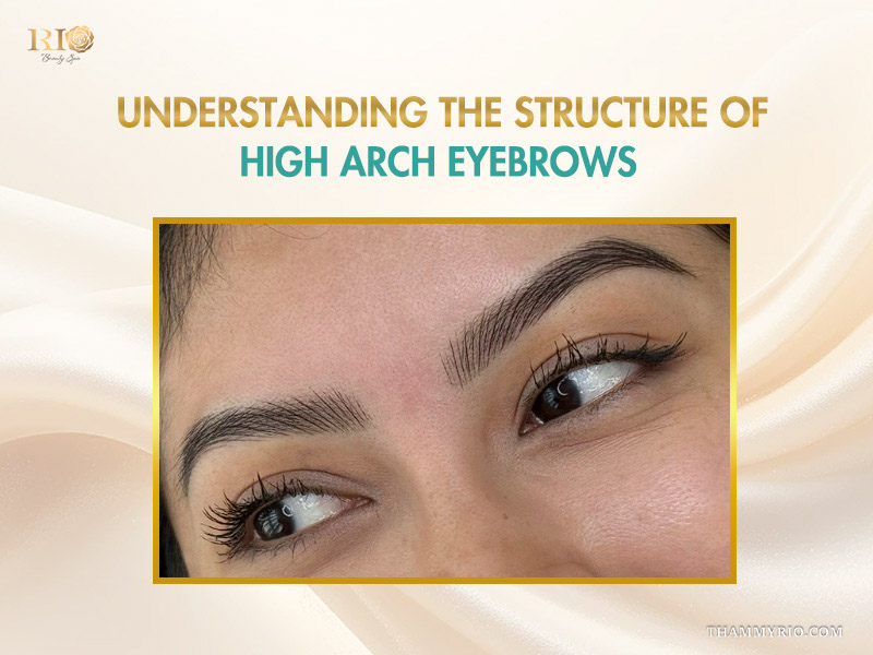 Close-up of a woman's eyes and eyebrows illustrating the structure of high arch eyebrows.