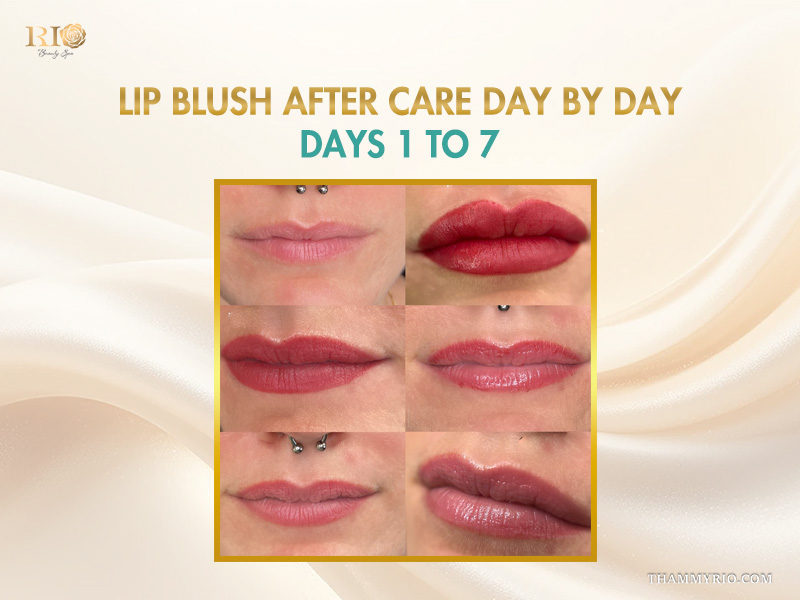 Day by day progression of lip blush aftercare from day 1 to day 7 showing healing and color settling.