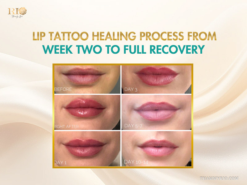 Lip blush healing process day by day timeline from before to day 14.