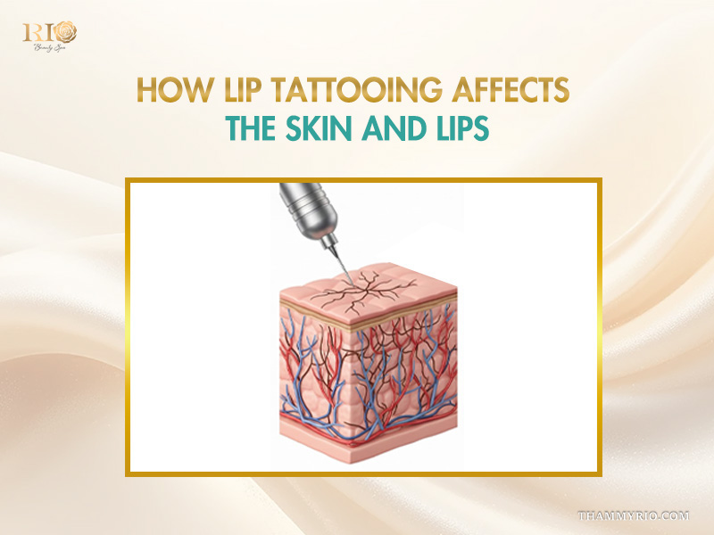 Diagram illustrating how the needle affects skin layers during lip tattooing for lip tattoo care.