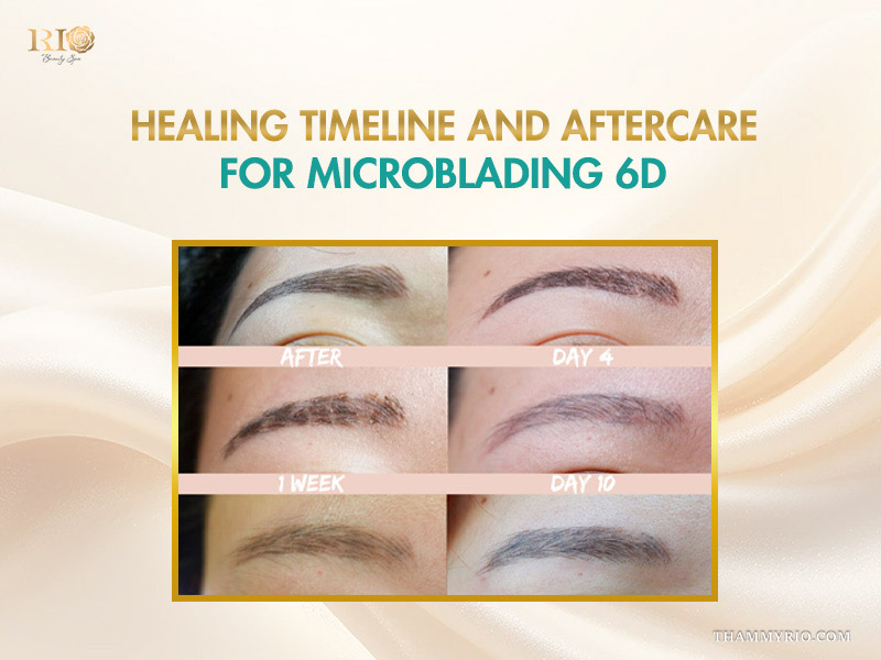 Detailed healing timeline for microblading 6D showing eyebrow changes from day 1 to day 10.