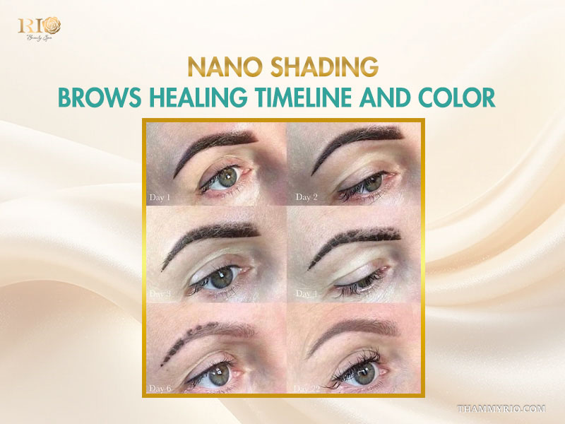 Day by day healing process and color transformation of nano shading brows.