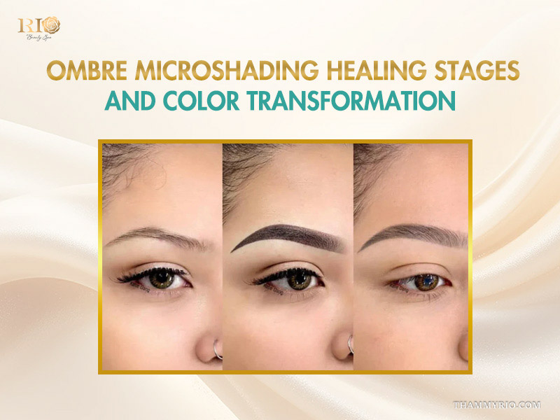 Comparison of ombre microshading healing stages and color transformation from day one to fully healed.