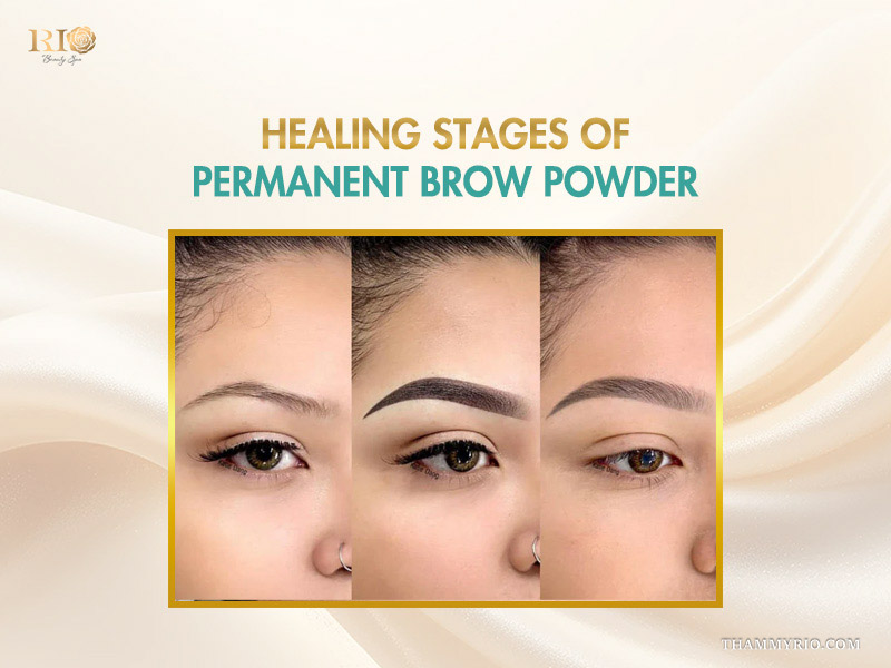 Three-stage progression of permanent brow powder healing showing the initial natural brow, the dark immediate post-procedure look, and the final soft-healed result.
