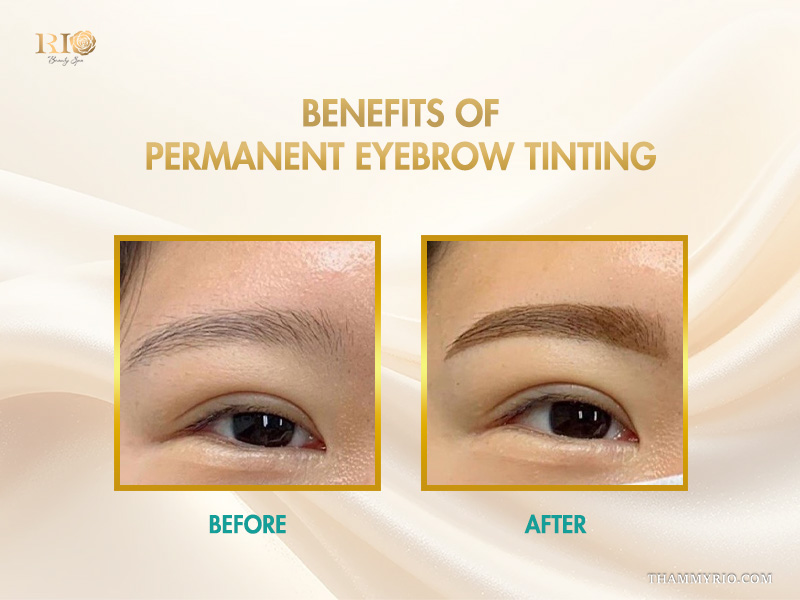 Before and after comparison of permanent eyebrow tinting showing fuller and more defined brows.