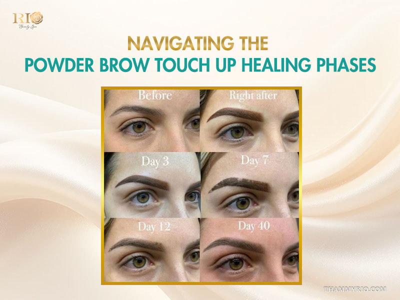 A grid of six photos showing the daily progression of the powder brows touch up healing phases from day 1 to day 40.