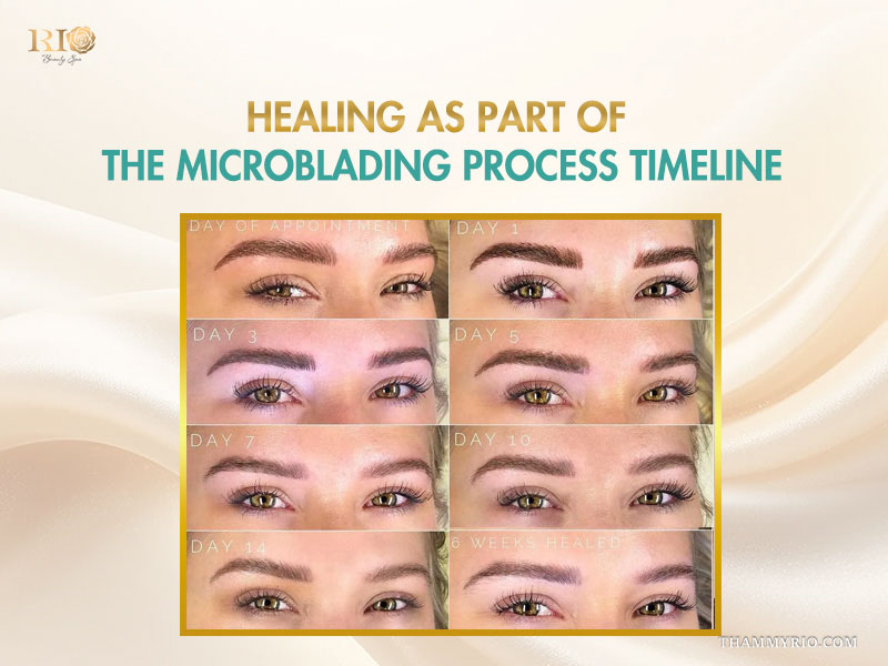 A healing timeline showing the step-by-step process for microblading recovery from day 1 to 6 weeks.