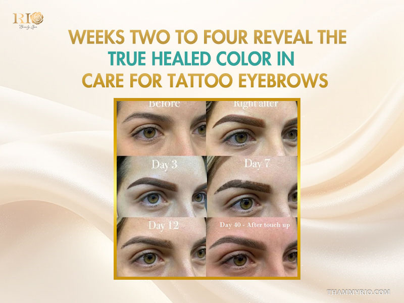 Healing stages of permanent eyebrows showing day-by-day progress for effective care for tattoo eyebrows.