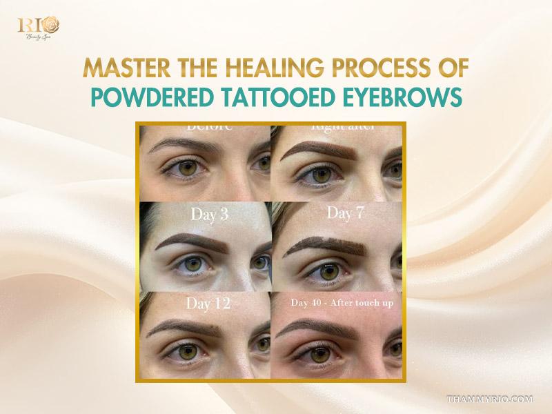 Healing process stages of eyebrow powdering tattoo from day 1 to day 40 after touch up.