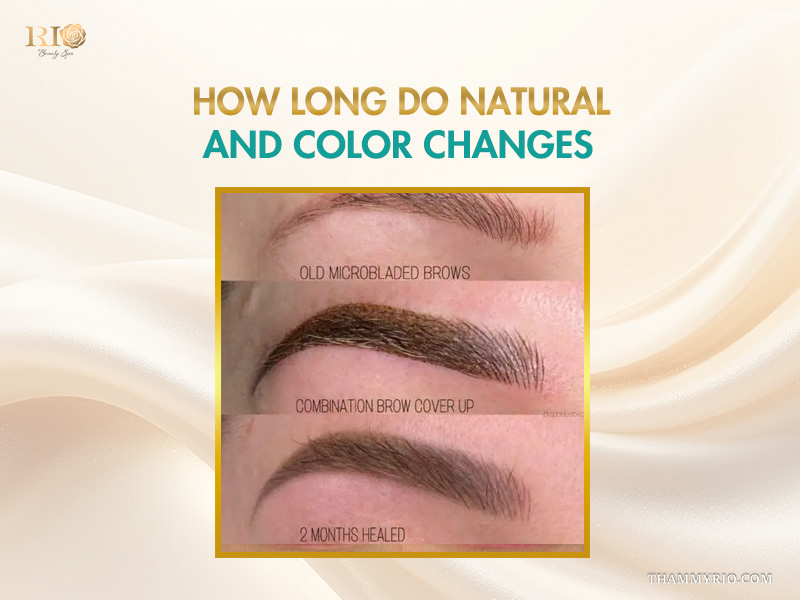 Healing stages of ombre micro blading showing old brows, cover-up, and 2 months healed results.