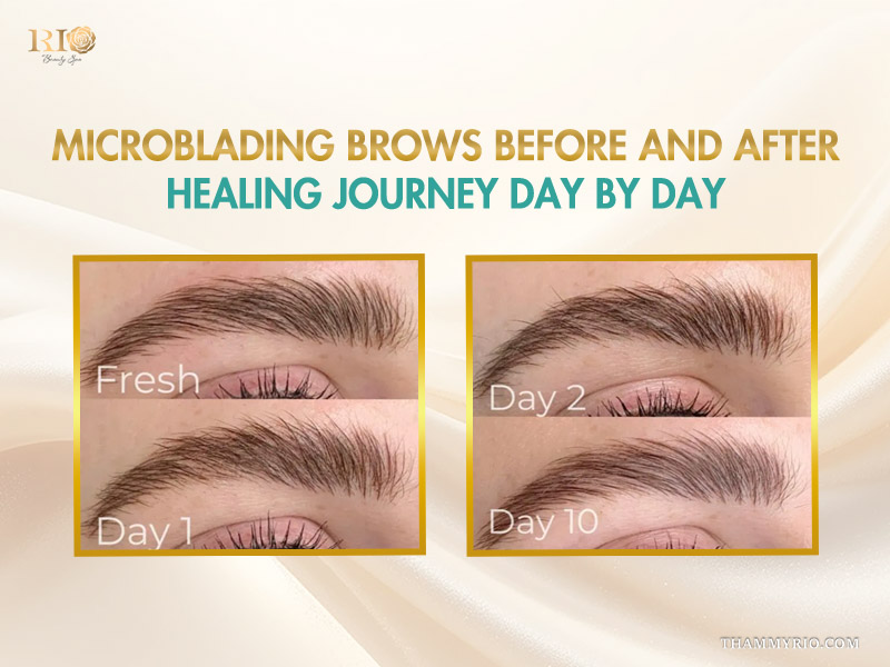 Microblading brows before and after healing journey from day 1 to day 10