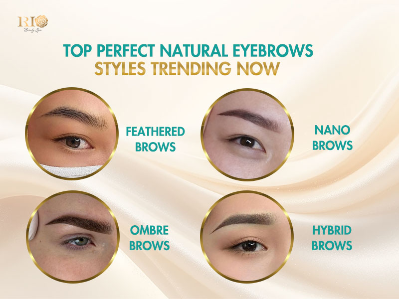 Comparison of four popular natural looking brows trends: Feathered, Ombre, Nano, and Hybrid.