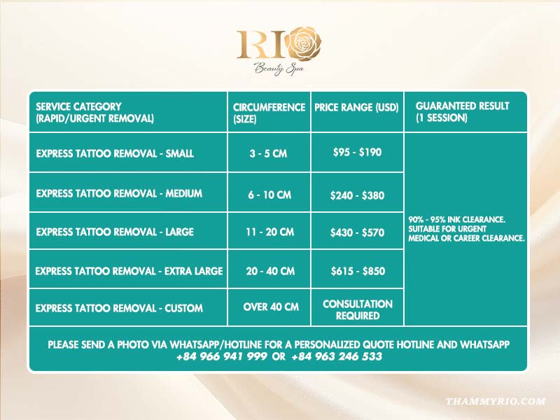 Professional laser tattoo removal cost analysis