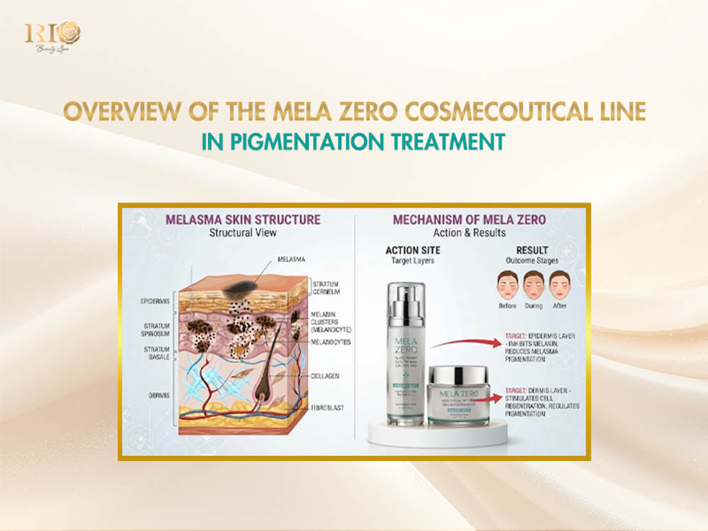 Mela Zero Skincare 3D illustration of active ingredients and pigmentation care