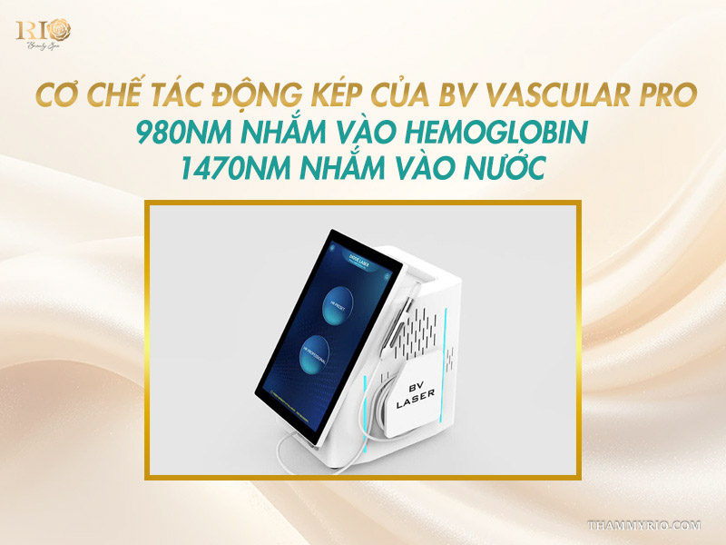 Thiết bị máy laser kép BV Laser ứng dụng công nghệ BV Vascular Pro 980nm và 1470nm xử lý tổn thương mạch máu