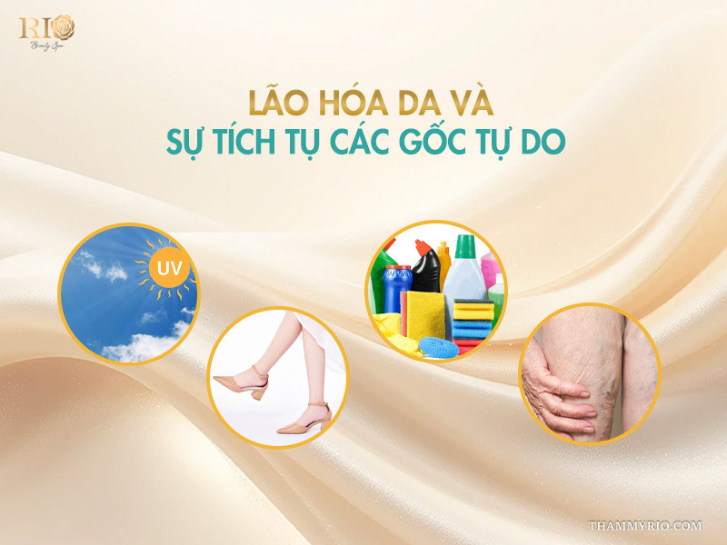 4 hình tròn minh họa các nguyên nhân gây nám ở chân do tác hại của tia UV, cọ xát từ giày cao gót, hóa chất tẩy rửa và lão hóa da