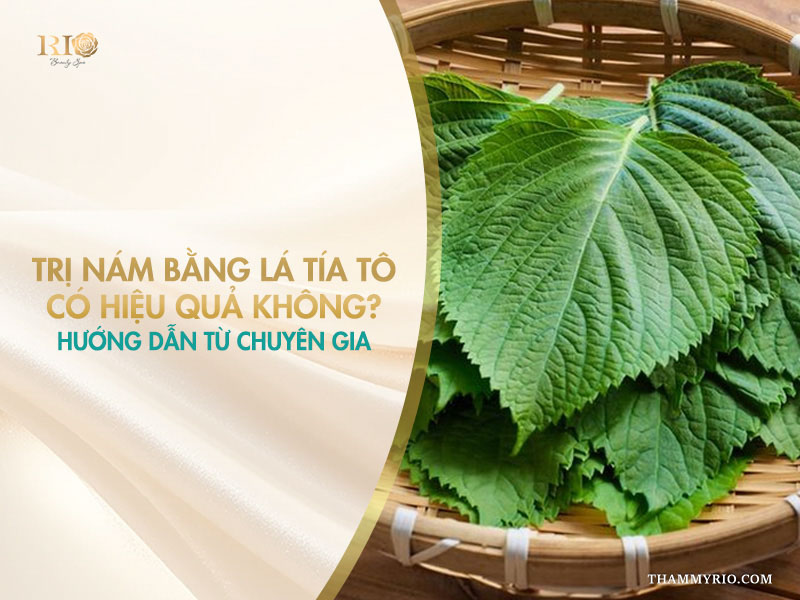 Mẹt rổ tre đựng lá tía tô tươi xanh bên cạnh tiêu đề banner hỏi về hiệu quả trị nám bằng lá tía tô