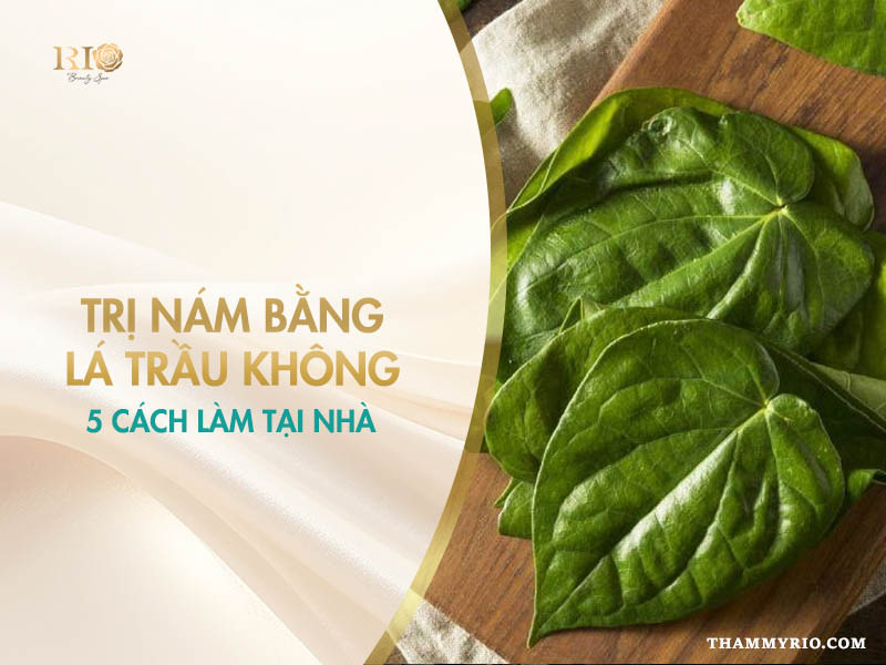 Trị nám bằng lá trầu không với 5 cách làm tại nhà đơn giản.