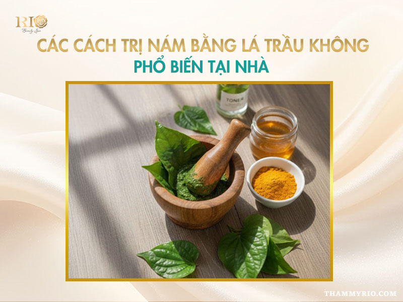 Các nguyên liệu trị nám bằng lá trầu không phổ biến tại nhà.