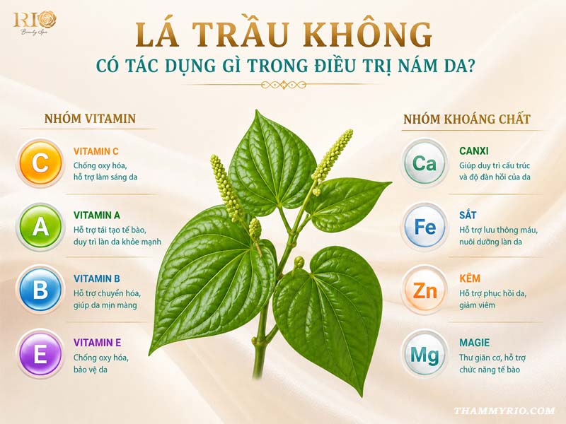 Lá trầu không có tác dụng gì trong điều trị nám da.