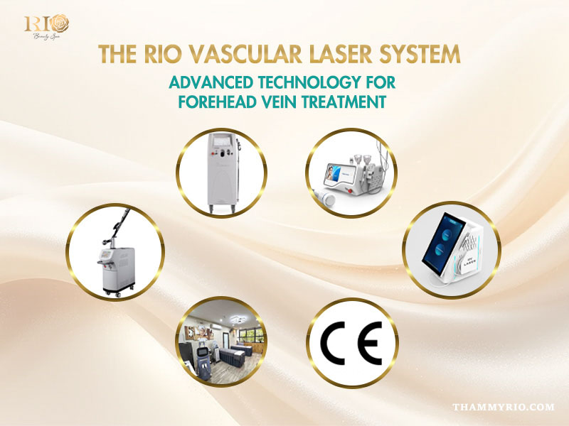 CE certified medical machinery in the Rio vascular laser system for forehead vein treatment