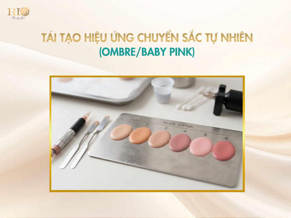 Bảng chuyển sắc độ Nude to Pink mô phỏng kỹ thuật Ombre trong xăm màu da nhũ hoa